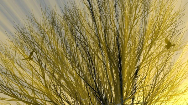 Árbol solitario sin hojas en niebla o niebla iluminado por brillantes rayos de sol naranja y aves gaviotas voladoras. Ilustración 3d. Concepto de viaje y camping — Foto de Stock