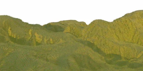 Zöld fű hills világítanak a meleg napsütésben a fehér háttér légi felülnézet drone vagy sík. A szöveg Copyspace. 3D-s illusztráció render — Stock Fotó