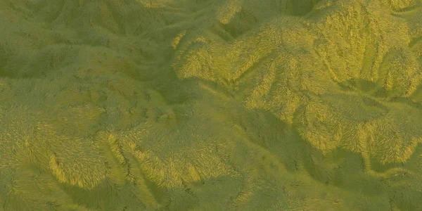 Collines vertes éclairées par la lumière du soleil chaud avec le fond blanc vue aérienne du dessus du drone ou de l'avion. Illustration 3D rendu — Photo