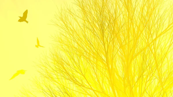 Ensamt träd utan löv i eller dimma upplysta av ljusa orange solguden strålar och flygande måsar fåglar. 3D illustration. Resor och camping koncept — Stockfoto