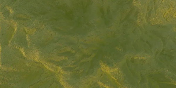 Groen gras heuvels verlicht door warm zonlicht met de witte achtergrond luchtfoto bovenaanzicht van drone of vliegtuig. 3D illustratie maken — Stockfoto
