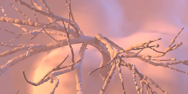 Tarjeta de Año Nuevo árbol de navidad cubierto de nieve sobre nubes toon abstractas y ventisqueros. Arte conceptual 3d ilustración vista superior — Foto de Stock