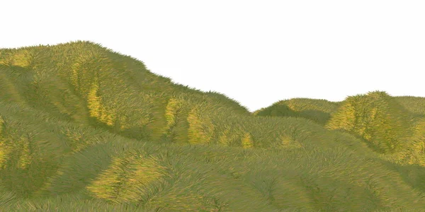 Colinas de grama verde iluminadas pela luz solar quente com a vista superior aérea de fundo branco do drone ou avião. Copyspace para o seu texto. 3d ilustração renderizar — Fotografia de Stock