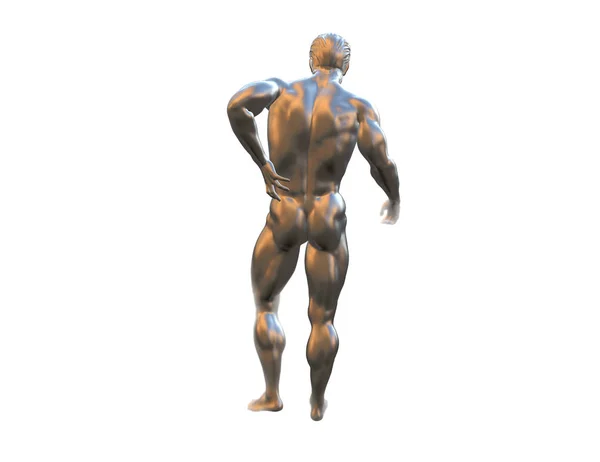 Torso masculino, dor nas costas isolada em fundo branco. 3d renderizado ilustração médica — Fotografia de Stock