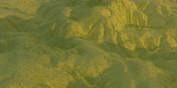 Zöld fű hills világítanak a meleg napsütésben a fehér háttér légi felülnézet drone vagy sík. 3D-s illusztráció render — Stock Fotó