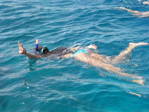 Mooie vrouw zwemt in de rode zee en betrokken bij het snorkelen met een snorkel en masker. En ze vertoont de overwinning met vingers — Stockfoto