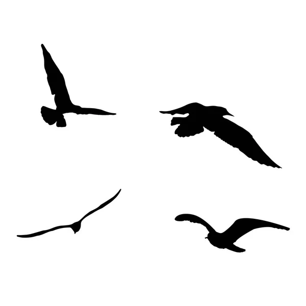 Conjunto de vectores - silueta de gaviota sobre fondo blanco colección — Vector de stock