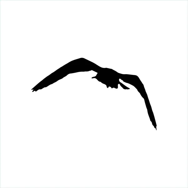 Fliegende Möwe Vogel schwarze Silhouette isoliert auf weißem Hintergrund — Stockfoto