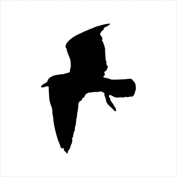 Fliegende Möwe Vogel schwarze Silhouette isoliert auf weißem Hintergrund — Stockvektor