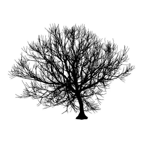 黑色干树冬季或秋季剪影在白色背景。矢量 eps10 插图 — 图库矢量图片