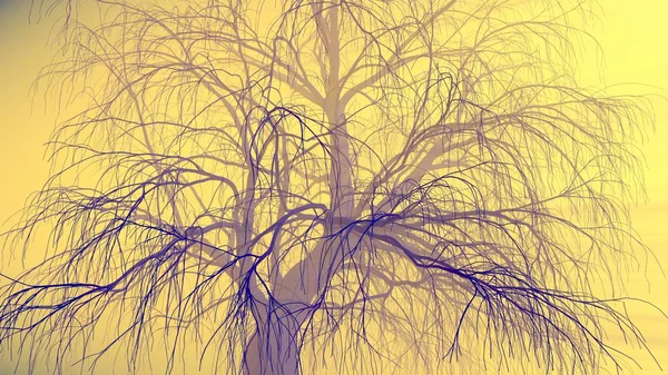 Árbol solitario sin hojas en niebla o niebla iluminado por brillantes rayos de sol naranja. Ilustración 3d. Concepto de viaje y camping — Foto de Stock