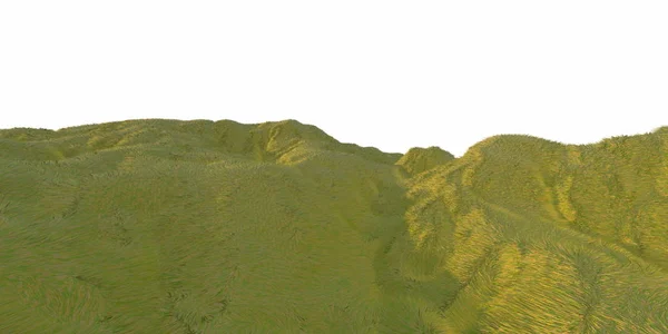 绿色的草丘陵由温暖的阳光照亮与白色背景空中鸟瞰顶部从无人机或飞机。Copyspace 为您的文本。3d 插图渲染 — 图库照片