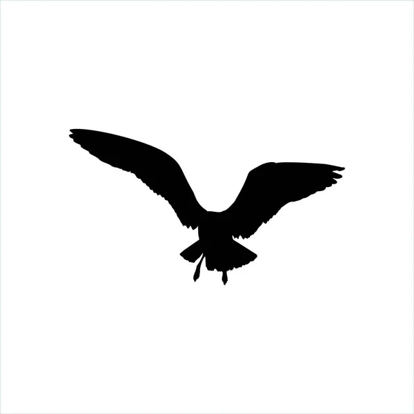 Latający Ptak Mewa sylwetka czarny na białym na białym tle — Zdjęcie stockowe
