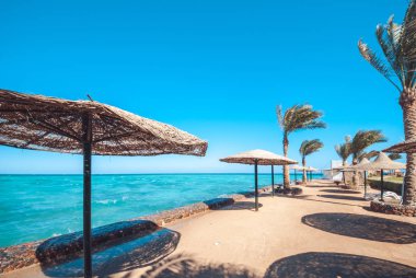 Kumlu deniz Plajı arka plan palmiye ağaçları ve mavi deniz üzerinde saman ve şezlong yapılmış güneş şemsiyeleriyle doludur. Metin için boşaltmak ile gökyüzü