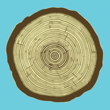 Mavi arka plan üzerinde izole ağaç kütüğü kesiti, vektör Eps 10 illüstrasyon.