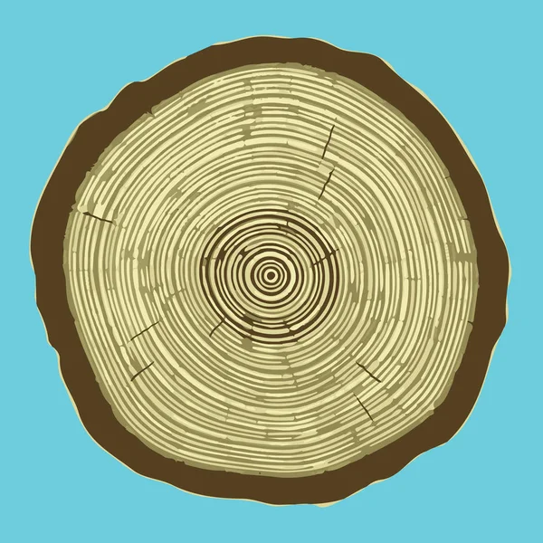 Cross section of tree stump isolated on blue background, vector Eps 10 illustration. — Stock Vector