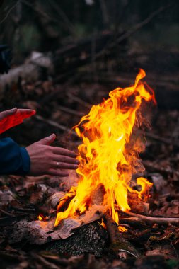 Adam ellerini ateşte ısıtıyor. Akşamları ormanda odun yakmak. Doğadaki turistik kampta kamp ateşi. Barbekü ve açık havada temiz hava. Güvenlik ve doğaya karşı sorumluluk kavramı