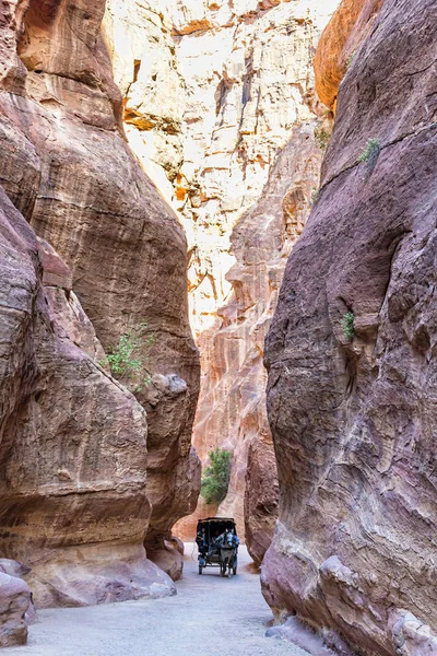 Carruaje tirado por caballos a través del Siq en Petra, Jordania — Foto de Stock