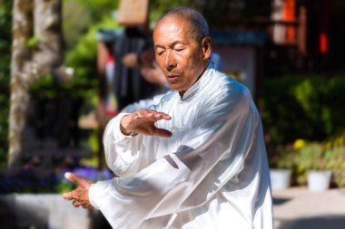 Tai Chi, Lijiang, Çin'deki Jade Spring Park'ta
