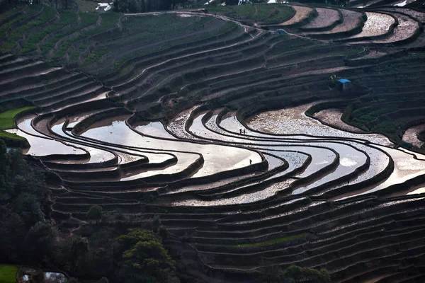 The rice terraces at Bada site in Yuanyang county, China