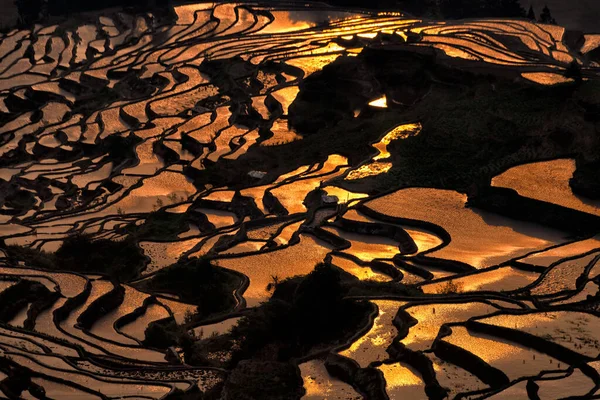 Sunrise over rice terraces in Duoyishu Scenic Area in Yunnan region, China. This scenic area is the best site to watch sunrise over the vast rice paddies. Was listed as World Heritage Site in 2013