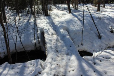 Boreal orman yolu, Bj rnlandet Milli Parkı, İsveç kış aylarında. Zemin karla kaplı
