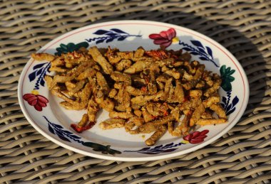 Fırında hindi shawarma bir tabakta, D ner kebap dayalı Orta Doğu eti