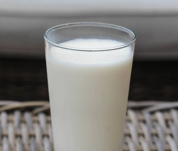 Selbstgemachter Vanille-Milchshake in Glas auf Schilfhintergrund — Stockfoto