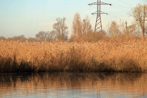 Folyó az őszi erdőben. Gyönyörű természet háttér. — Stock Fotó