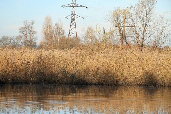 Folyó az őszi erdőben. Gyönyörű természet háttér. — Stock Fotó