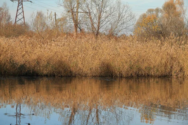 Río en el bosque de otoño. Hermosa naturaleza fondo . —  Fotos de Stock