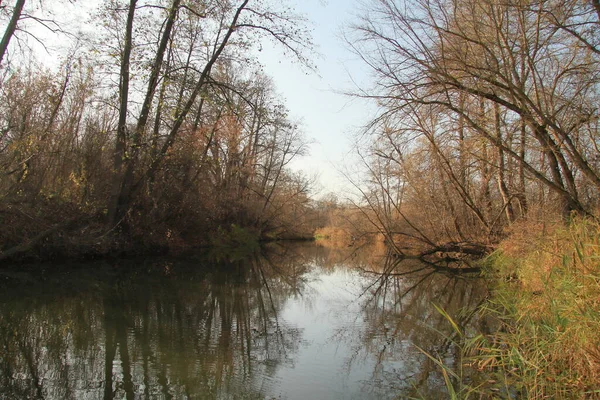 Folyó az őszi erdőben. Gyönyörű természet háttér. — Stock Fotó