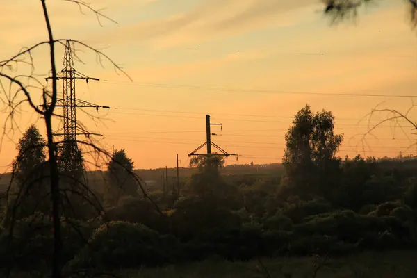Yüksek voltajlı elektrik pilonu ve günbatımı gökyüzüne sahip elektrik kablosu