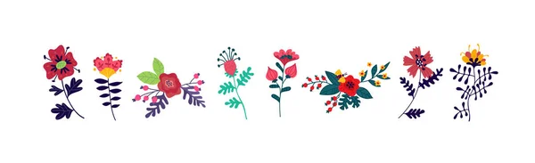 Hermosas Flores Vector Elementos Florales Decorativos Para Una Florería Todas — Archivo Imágenes Vectoriales