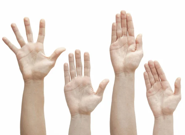 Mãos Levantadas Palmas Das Mãos Dedos Sobre Fundo Branco — Fotografia de Stock
