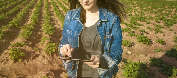Agriculture technology farmer person using tablet computer