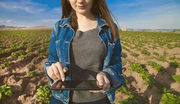 Agriculture technology farmer person using tablet computer