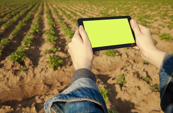 Tablet bilgisayar kullanan tarım teknoloji çiftçi kişi