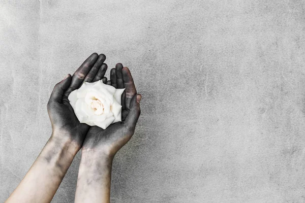 Mujer Sucio Negro Manos Celebración Blanco Rosa Sobre Gris Fondo — Foto de Stock