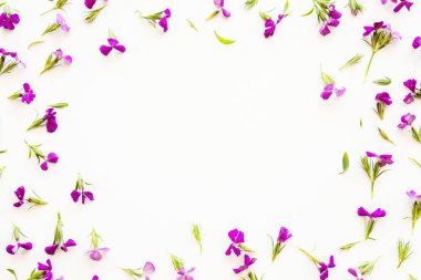 Arka planda mor çiçekler