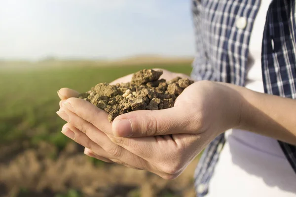 Soil in hand, palm, cultivated dirt, earth, ground, brown land background. Organic gardening, agriculture. Environmental texture