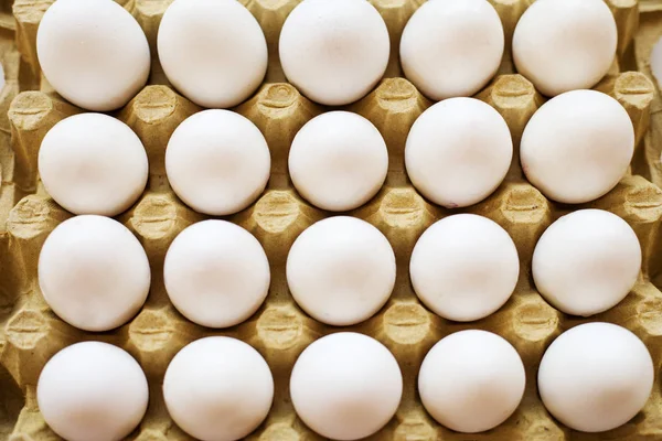 Egg, chicken egg on white background