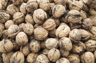 Arka planda izole ceviz