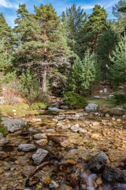 Uzun pozlama Navacerrada nehir, Madrid, İspanya.