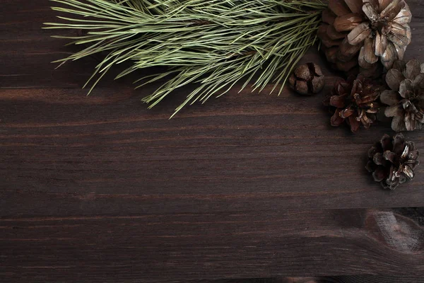 çam dalları ve koniler ile kış arka plan