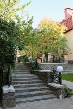 şehirde güzel bir bahçe. parkta sonbahar