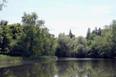 mavi gökyüzü ile parkta mavi göl