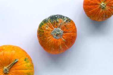Beyaz arka planda turuncu kabak