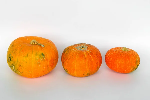sweet pumpkins isolated on white background