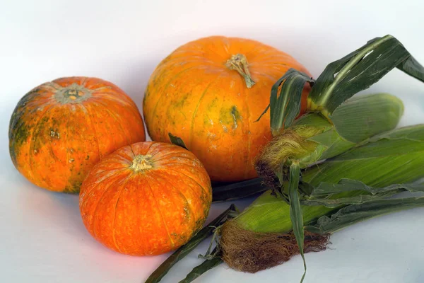 sweet pumpkins and green leaves on white background